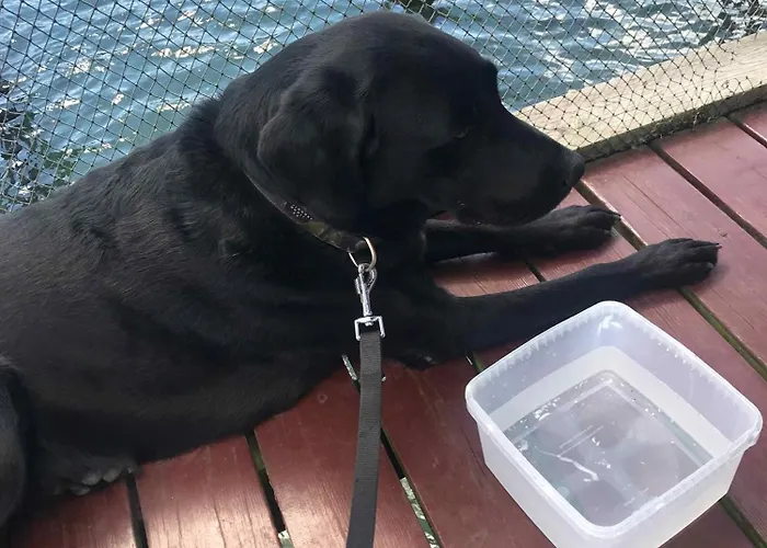 Cozy Family Near Nature And Coast